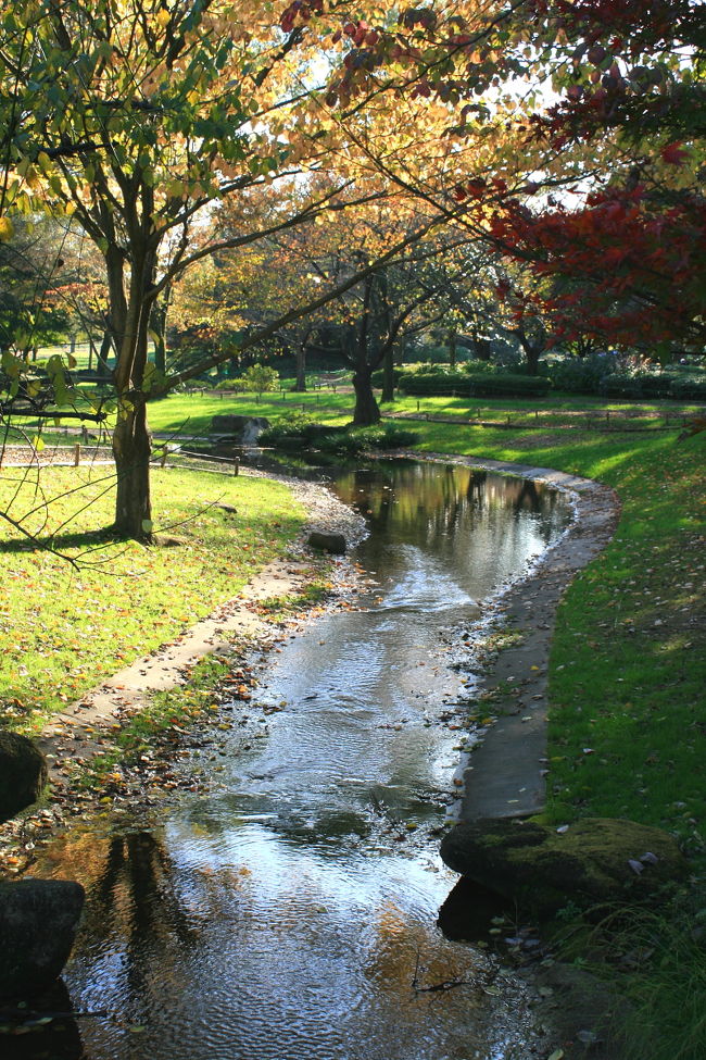 国営昭和記念公園