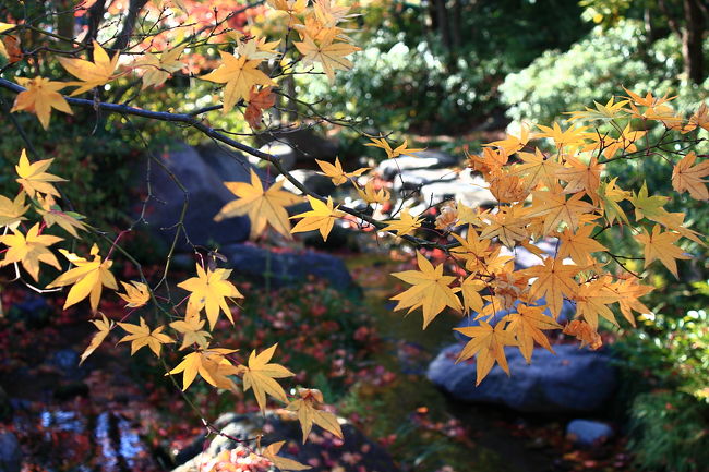 国営昭和記念公園