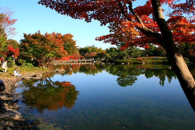 国営昭和記念公園
