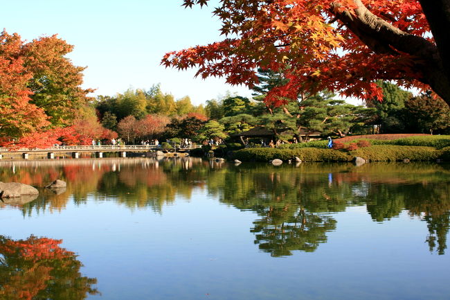 国営昭和記念公園