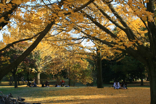 国営昭和記念公園