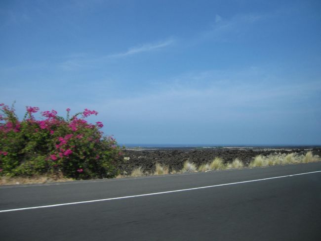 ハワイ島は火山の島。<br />空港から宿泊先まではこんな感じの溶岩が<br />ずっと広がってます。