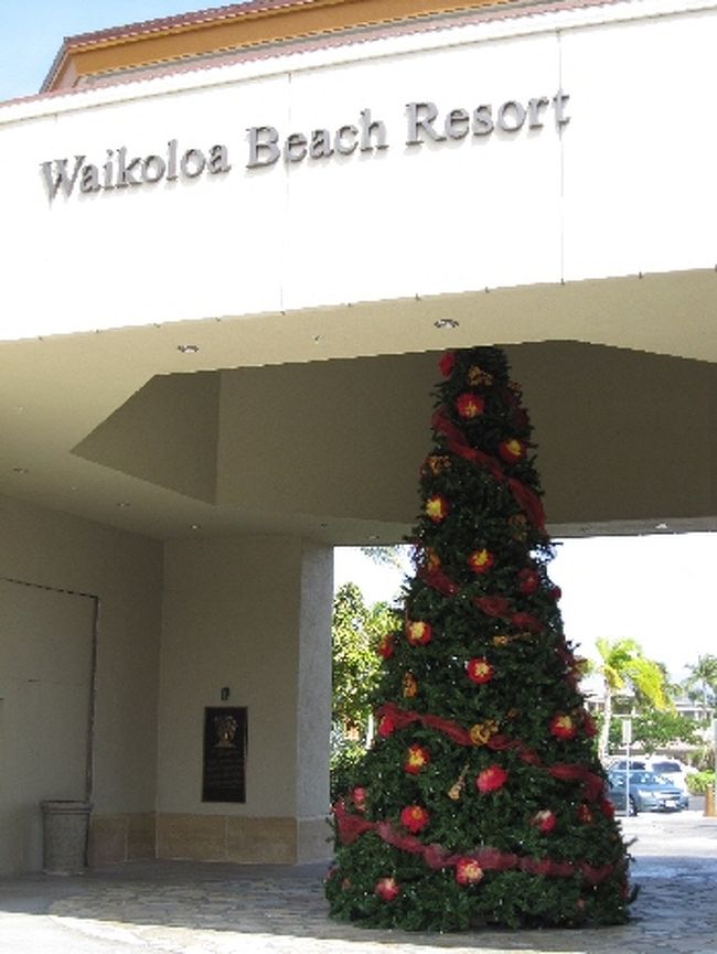 ハワイ島とうちゃく１日目は<br />『クイーンズマーケットプレイス』で<br />昼食をとって<br />レンタカーで『カイルナ・コア』の町へ行きます。<br /><br />こちらは『クイーンズマーケットプレイス』。<br />ツリーが飾られていました。