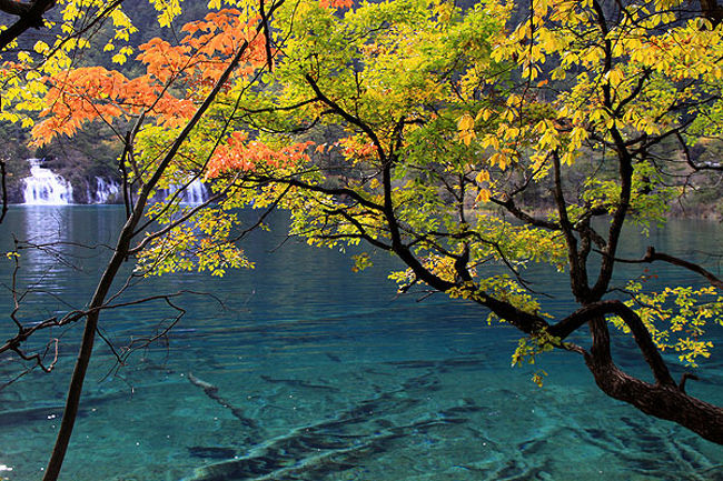 紅葉の九寨溝 黄龍 ミニヤコンカ山 海羅溝 九寨溝 中国 の旅行記 ブログ By Kaycomさん フォートラベル 紅葉の九寨溝 黄龍 ミニヤコンカ山 海羅溝 九寨溝 中国 の旅行記 ブログ By Kaycomさん フォートラベル