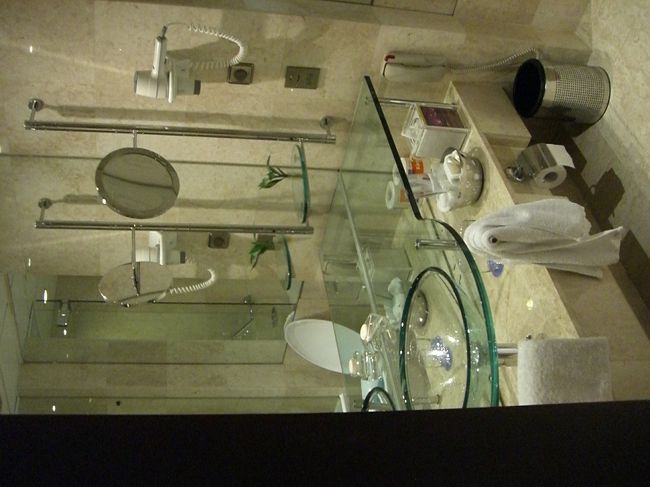 気に入りました