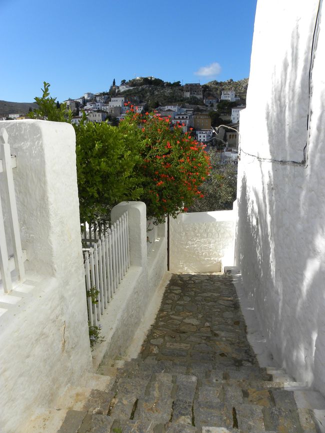 どこを写しても絵になる！