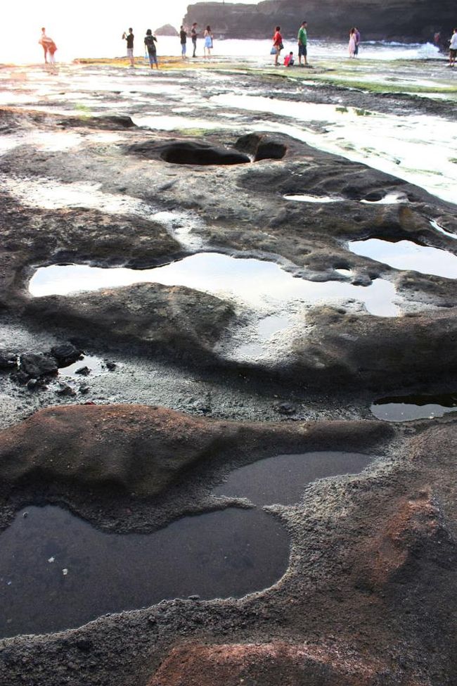 逆光で包まれフレアがかかり、異世界のよう…