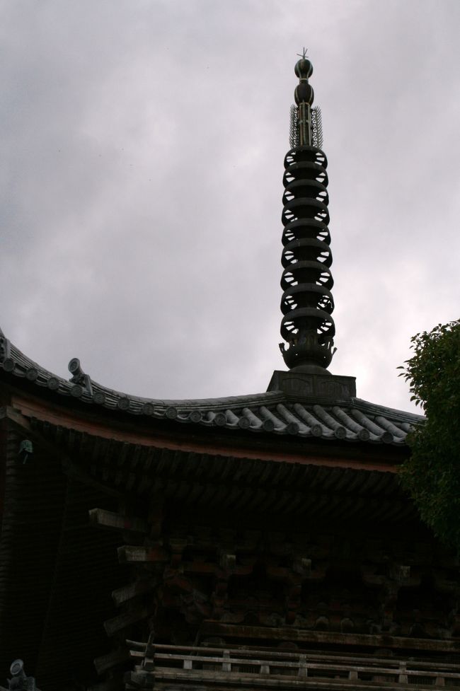 本殿側から眺めた三重塔のシルエット光景です。日が大部傾いてきました。