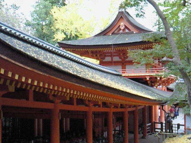 奈良に来た実感が湧きました。この後、荷茶屋で休憩しました。紅葉してて、とても趣きがありました。