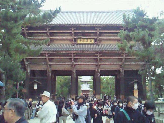 東大寺へ…とても混んでいました。さすが、奈良の定番と言った感じでしょうか？
