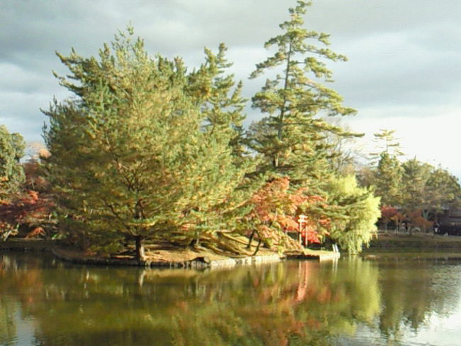 きれいな景色でした。