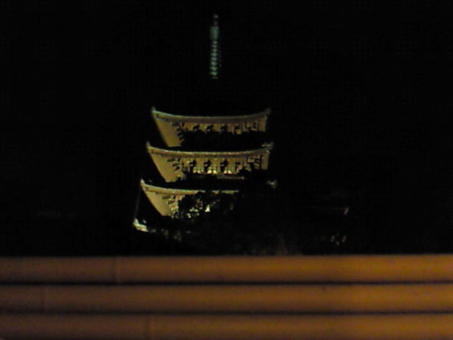 貸切風呂から、五重の塔のライトアップが見えて、素敵でした。