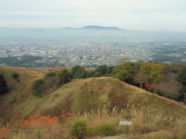 若草山山頂、素敵な景色でした。