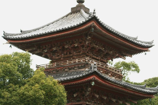 頭の相輪は切れましたが、三重塔の上階の光景です。角がないカブトムシのようにも見えます。やはり相輪は見た目にも大切です。