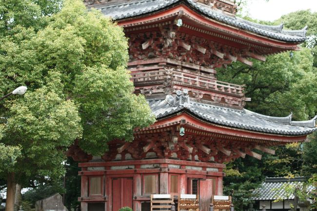 三重塔の下階の光景です。生い茂った樹木が、建物に良く似合います。