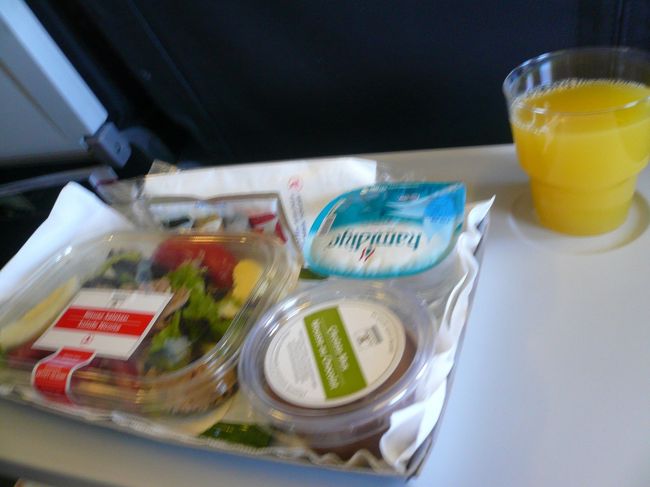 約１時間のフライトでも、機内食がサラダかサンドイッチのどちらかを選べます。<br />こちらはサラダ。