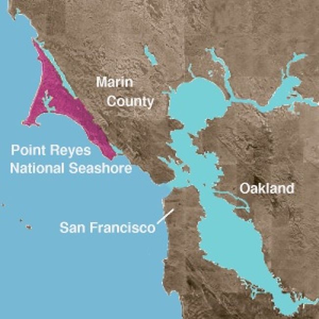 ☆野生のエルクに会えるPoint Reyes National Seashore(ポイントレイズ・ナショナル・シーショア)☆