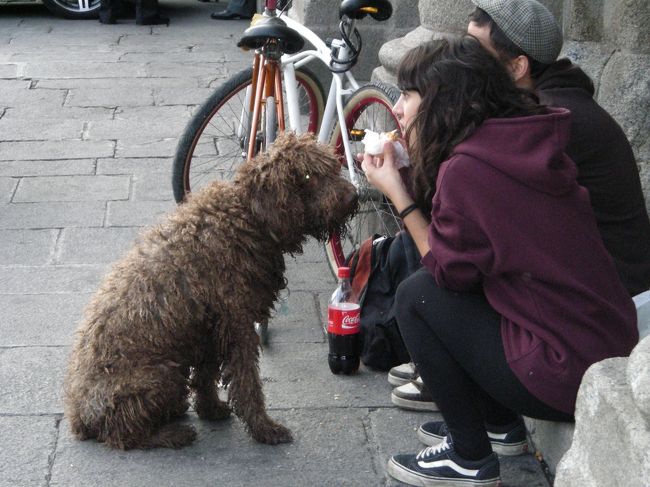 満腹。<br />歩くのも辛いし、ホテルに帰るのもなんだから、レストランの近くのマヨール広場に座り、通り行く人々を眺めて過ごす。<br /><br />たくさんのパフォーマーがいるんだけど、レベルは低い。<br />とっても音痴なバイオリンを奏でるおばあさん、太ったスパイダーマンにその他のキャラクターものなどなど。<br />コスチュームだけ作れば私にだって出来るわ・・と思える程度のものばかり。<br />意外にそのくらいが観光客ウケがいいのかな？
