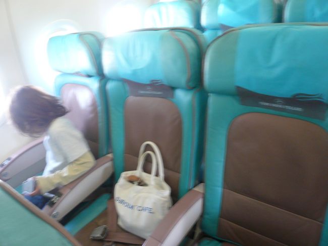 カッパドキアからイスタンブールに戻ります。<br />トルコ航空で。機内のシートがきれいな色でした。