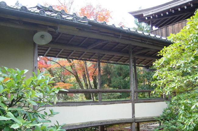 京都名庭１００選(48)　京都紅葉フラッシュ2009第三弾（前編） ｢光悦寺」、「本法寺」