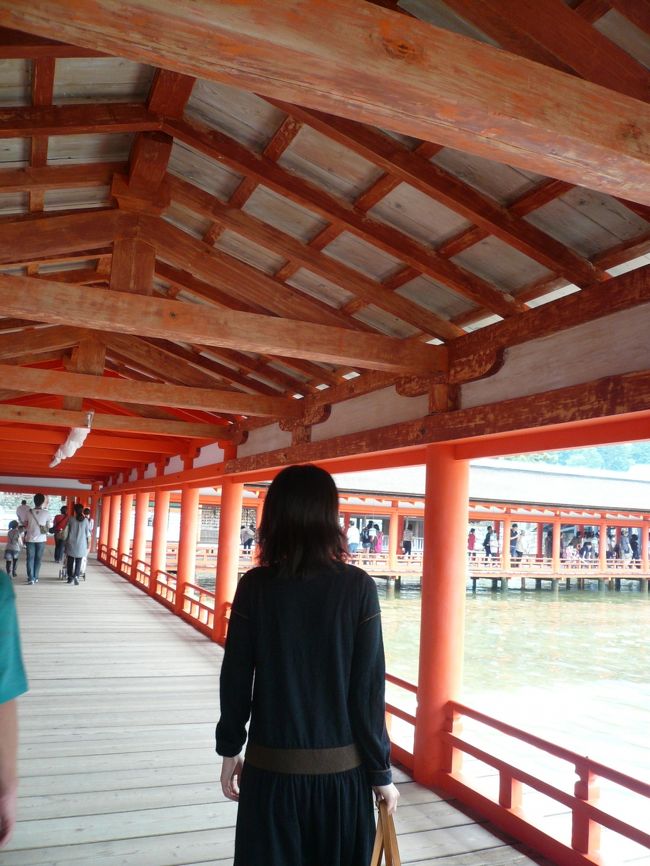 国宝の廻廊は幅4ｍ、長さは約275ｍあります。<br /><br />床板の間に目透しという隙間があり、高潮の時に下から押しあがってくる海水の圧力を弱め、海水や雨水を海へ流す役目を果たしています。