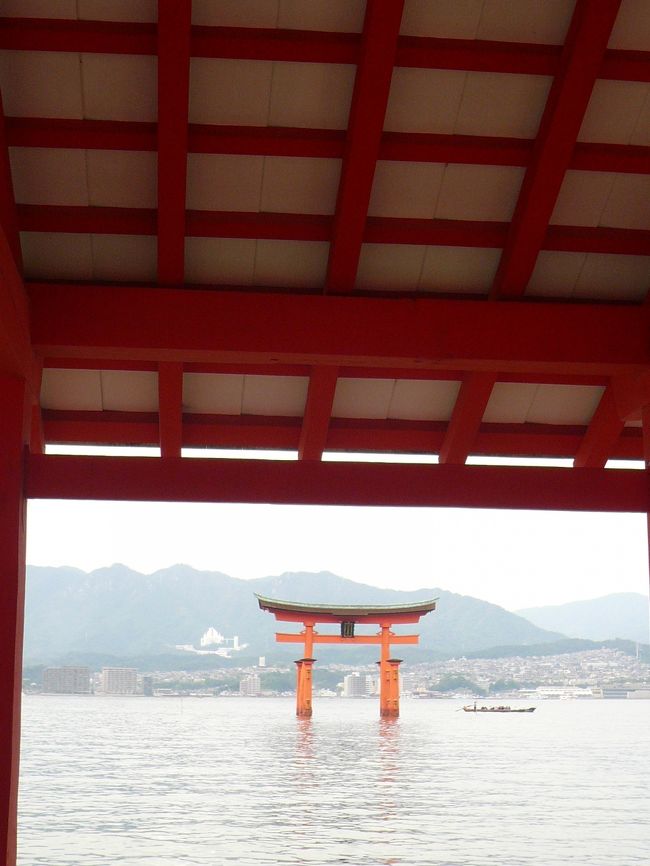 どこから見ても絵になります。