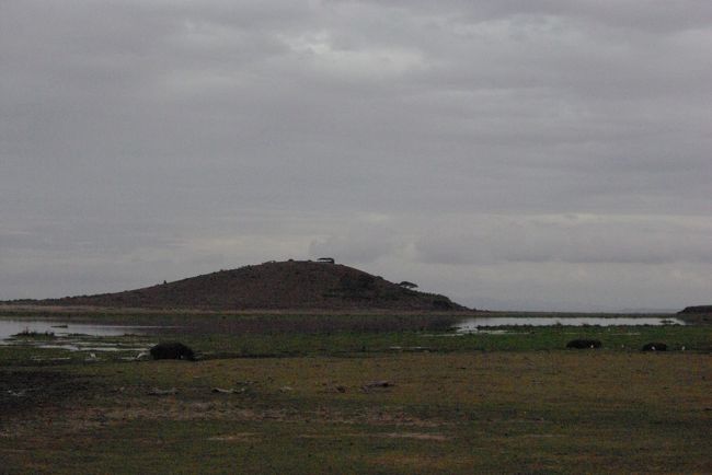 オブザベーションヒル<br />国立公園内で唯一、人が立っていい丘へ。<br />