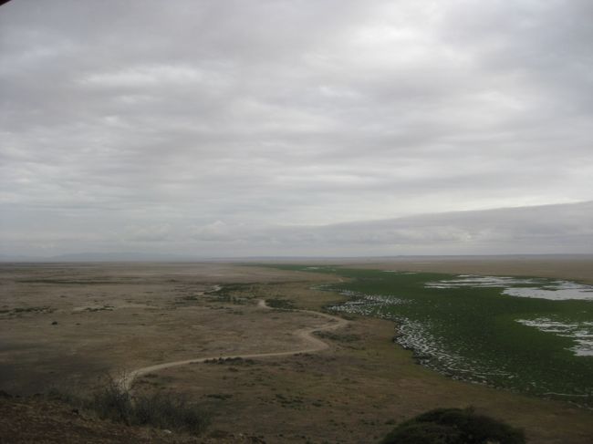 あいにくのお天気でキリマンジャロを見ることができず。<br />でも、昨日、クッキリ見えて本当に良かった。<br />オブザベーションヒルからは３６０度のパノラマでアンボセリを満喫。<br />キリマンジャロから流れ出る水でできた川の流れが見え、その周りには緑が茂り、いろいろな鳥や動物が集まっています。