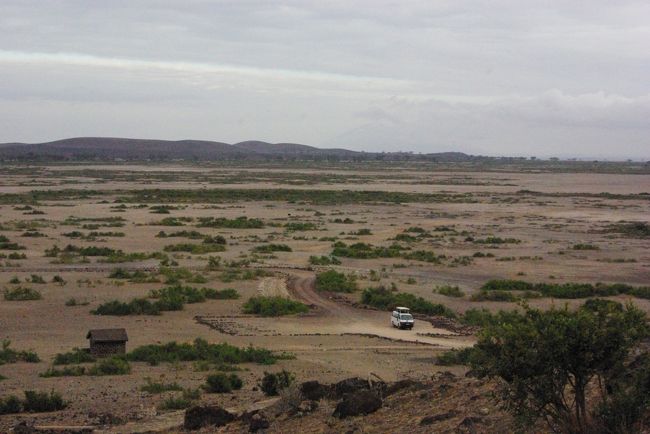 一応、山っぽいので、「ヤッホ〜♪」をやってみました！！<br /><br />が、<br /><br />さえぎるもののない、オブザベーションヒル。<br />キリマンジャロまではほど遠く、<br />こだましない・・・。<br />「ヤッホッ・・・・・・」<br />なるほど。