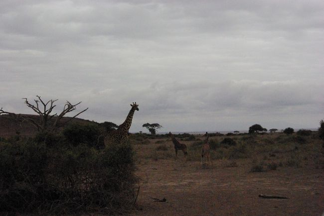 写真が暗い・・・。