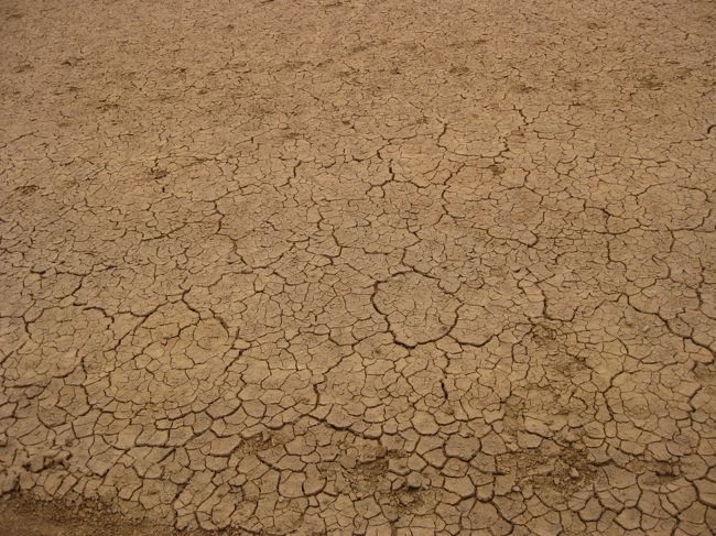 乾季のアンボセリ湖は干上がってます。<br />さっきの水のあった所とは大違い！