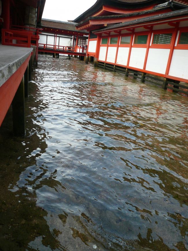 そして、小さな発見ですが、満潮のときは…