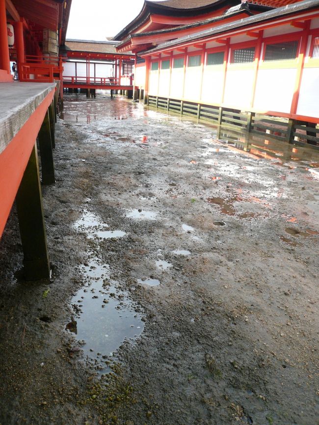 干潮になると…