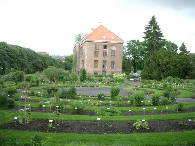 オスロ植物園
