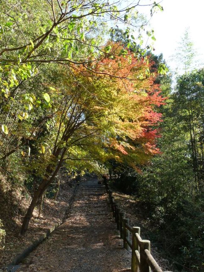 鶴見岳を後にして近くの由布川渓谷に寄りました。<br />観光客なし。<br />閑散として淋しい限り。<br />茶店も閉鎖されてましたね。