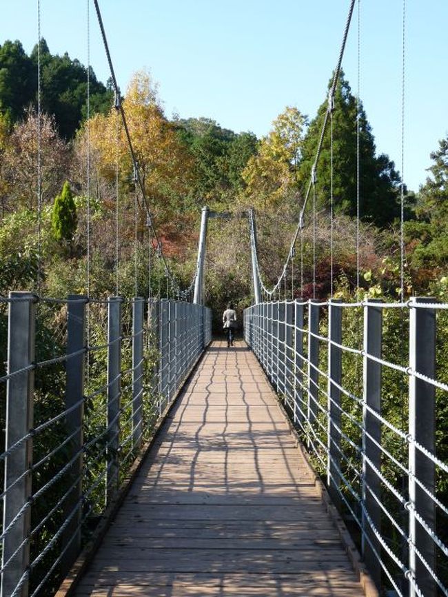 つり橋発見！<br />めっちゃくちゃ高くて、揺れるし恐怖体験でした。<br />税金投入して作ったんだろうけど、寂れてもったいないの一言につきる。<br />