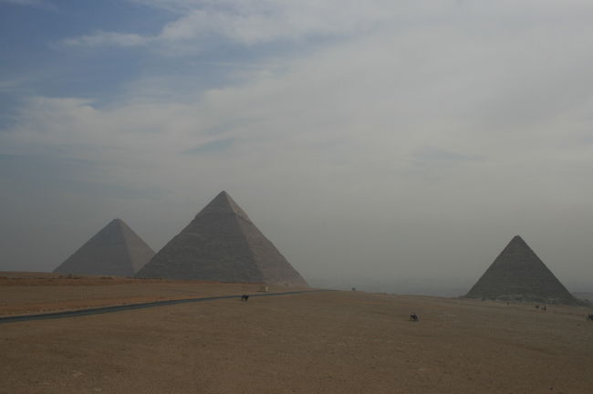 ちょっと曇り気味。<br /><br />ルクソールは普通に歩いただけで、汗だくでしたが、１１月のカイロは、日本の夏の終わりのような過ごしやすい温度でした。