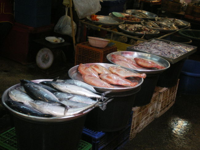 あじでもなく鯛でもない、手前の魚は、昔パタヤ沖で、釣りをしたとき食べましたが、味は鯵でした。<br />ほとんど入れ食いでした。