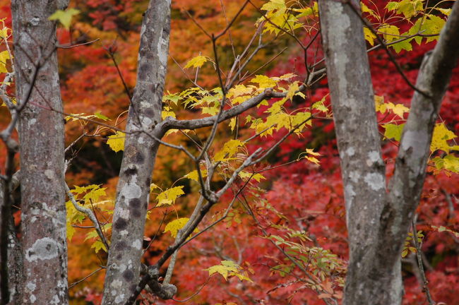 南禅寺にて<br />