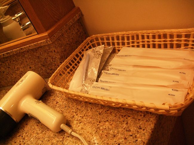 ドライヤーは今一つ。。。