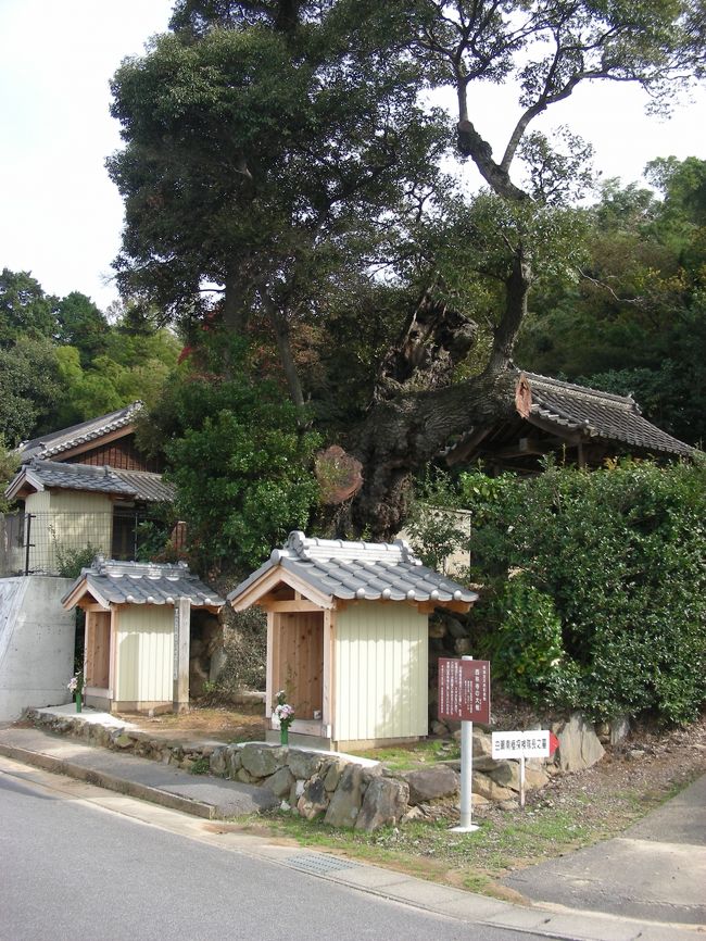 来年100周年を迎える日本南極探検隊・白瀬矗隊長のお墓