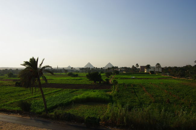 カイロに戻り時間が余ったため、運転手さんが、ギザのピラミッドがきれいに並んで見えるポイントまで案内してくれて、車を止めてくれました。<br /><br />粋な計らい！　ありがとう！
