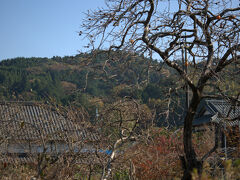 水月寺

日本の田舎の秋の風景だな〜。
ちゃんと神様用に柿がいくつか残してありました。