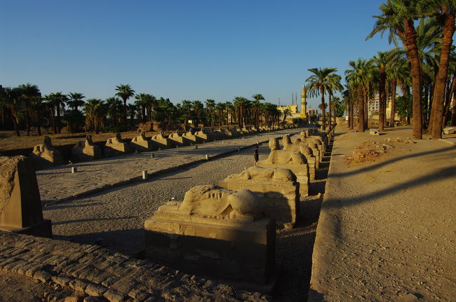 ルクソール神殿の中に、ズラリと鎮座するスフィンクスたち。