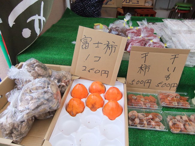 珍しい柿　富士柿<br />たぶん形が似てるからでしょう。<br />自分の住んでる所は柿の名所だけど、こんな柿は見たことない。