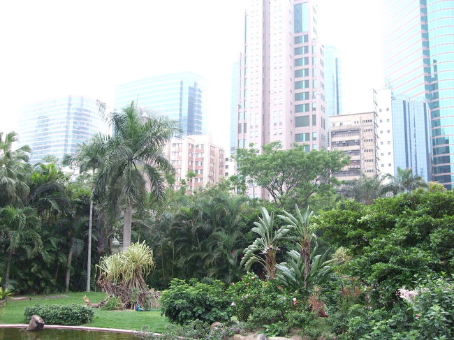 香港といえば土地も狭いこともあり、高層ビルが多いのですが、九龍公園もビルに挟まれています。
