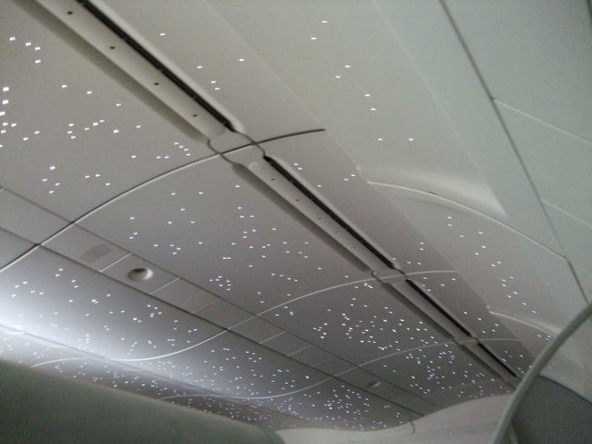 天井は星空になるそうです。