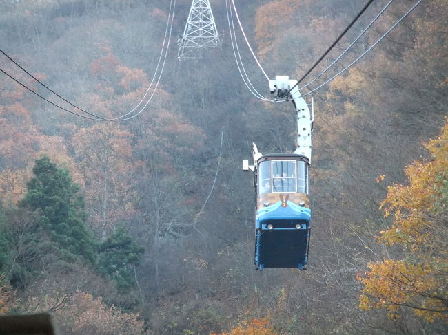 今回は紅葉を見るのが目的でしたが<br />ちょっと遅かったようです。