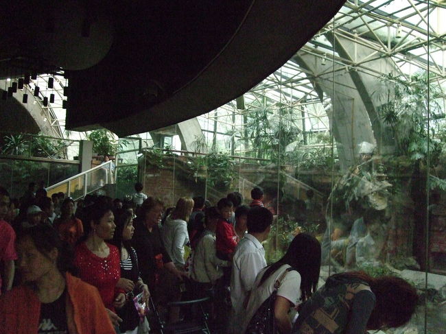 パンダ舎の内部です。