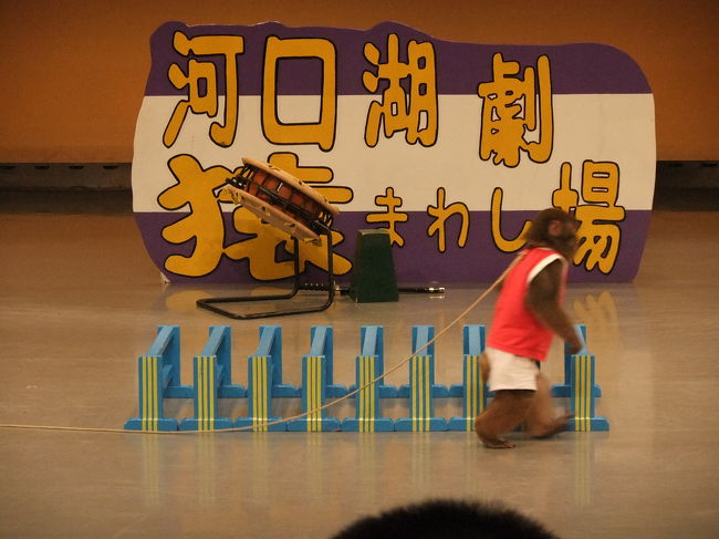 これもまたお約束＾＾<br /><br />飛ばずに横をすり抜ける＾＾